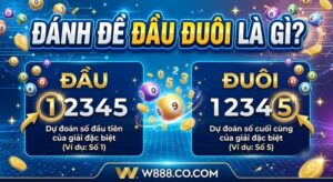 Cách Nuôi Số Đề Đầu Đuôi: Bí Kíp Bắt Cầu Chuẩn Xác Đánh đề đầu đuôi là gì? Giải thích chi tiết cách chơi đề đầu đuôi trên website W888.Co.Com